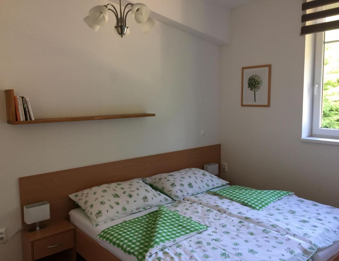 Apartman U Sjezdovky Velké Karlovice Exterior foto